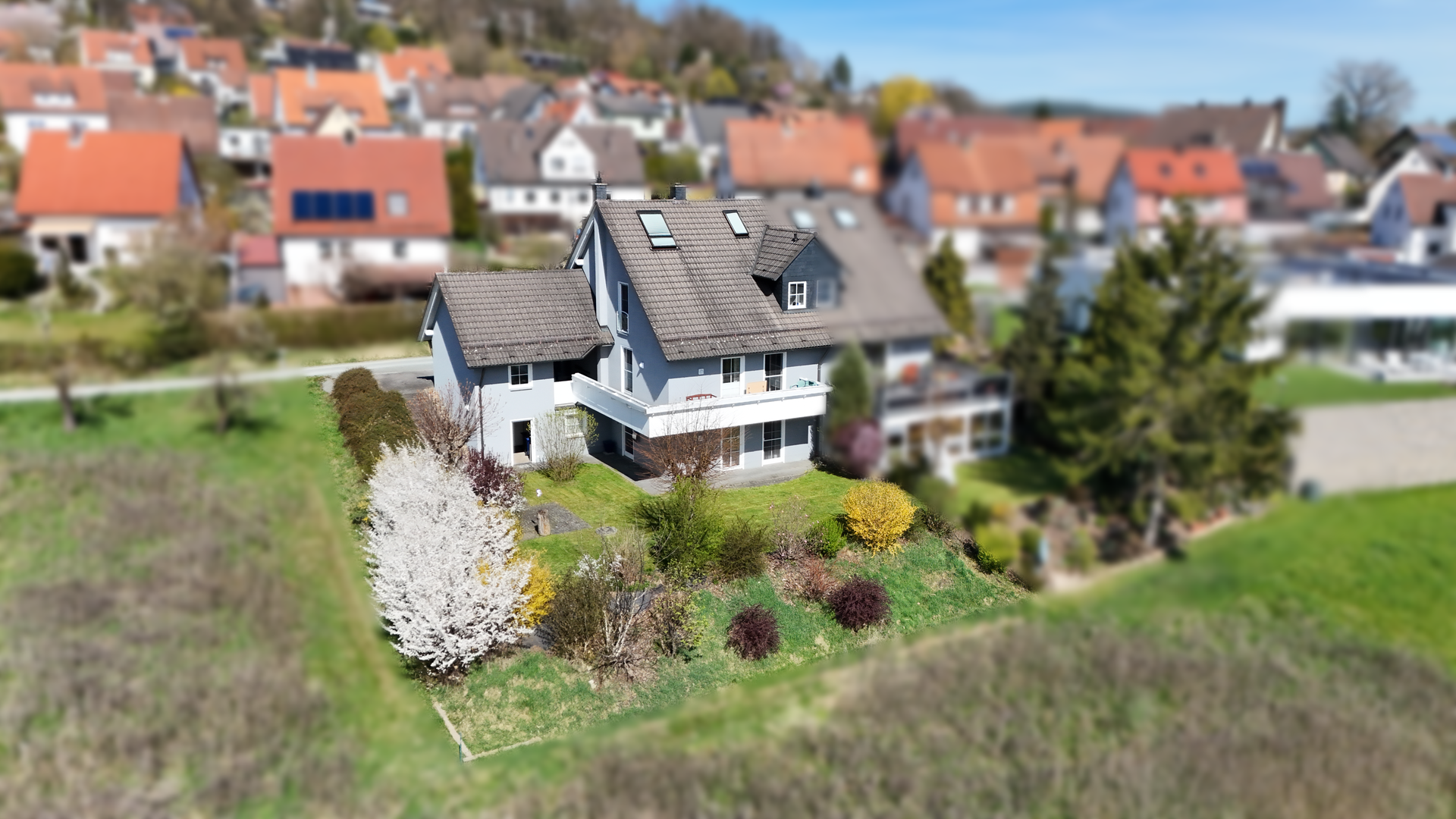 Real Estate Title Image Background